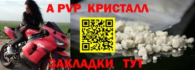 шишки Тара
