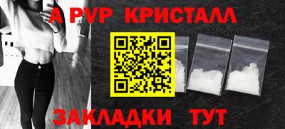шишки Тара
