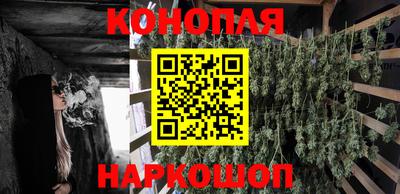 шишки Тара