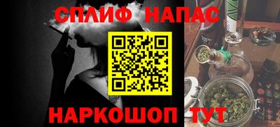 шишки Тара