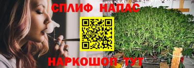 шишки Тара