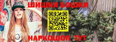 шишки Тара