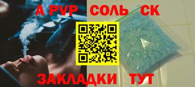 шишки Тара